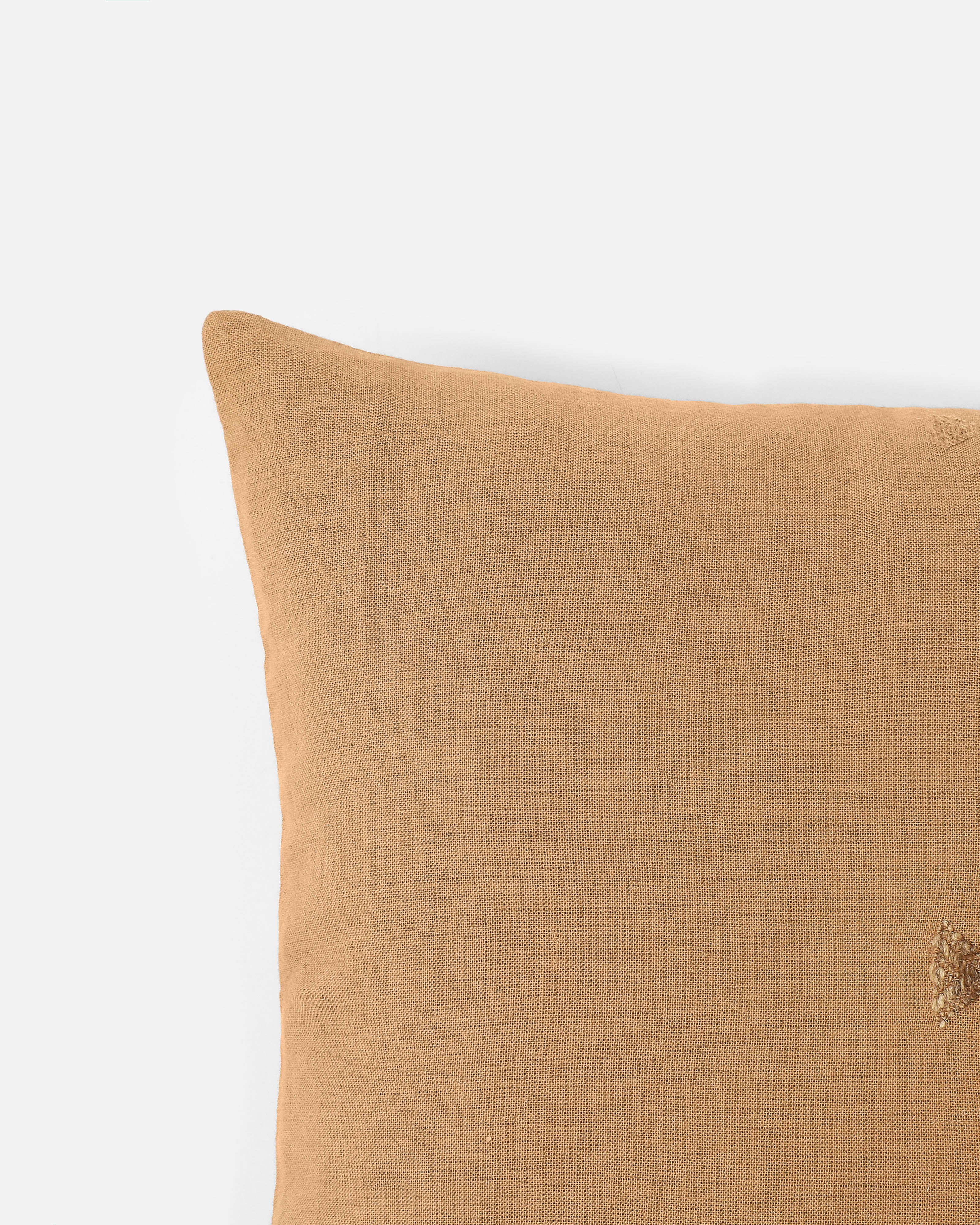 Dikshita Bhujodi Extra Weft Cotton Cushion Cover