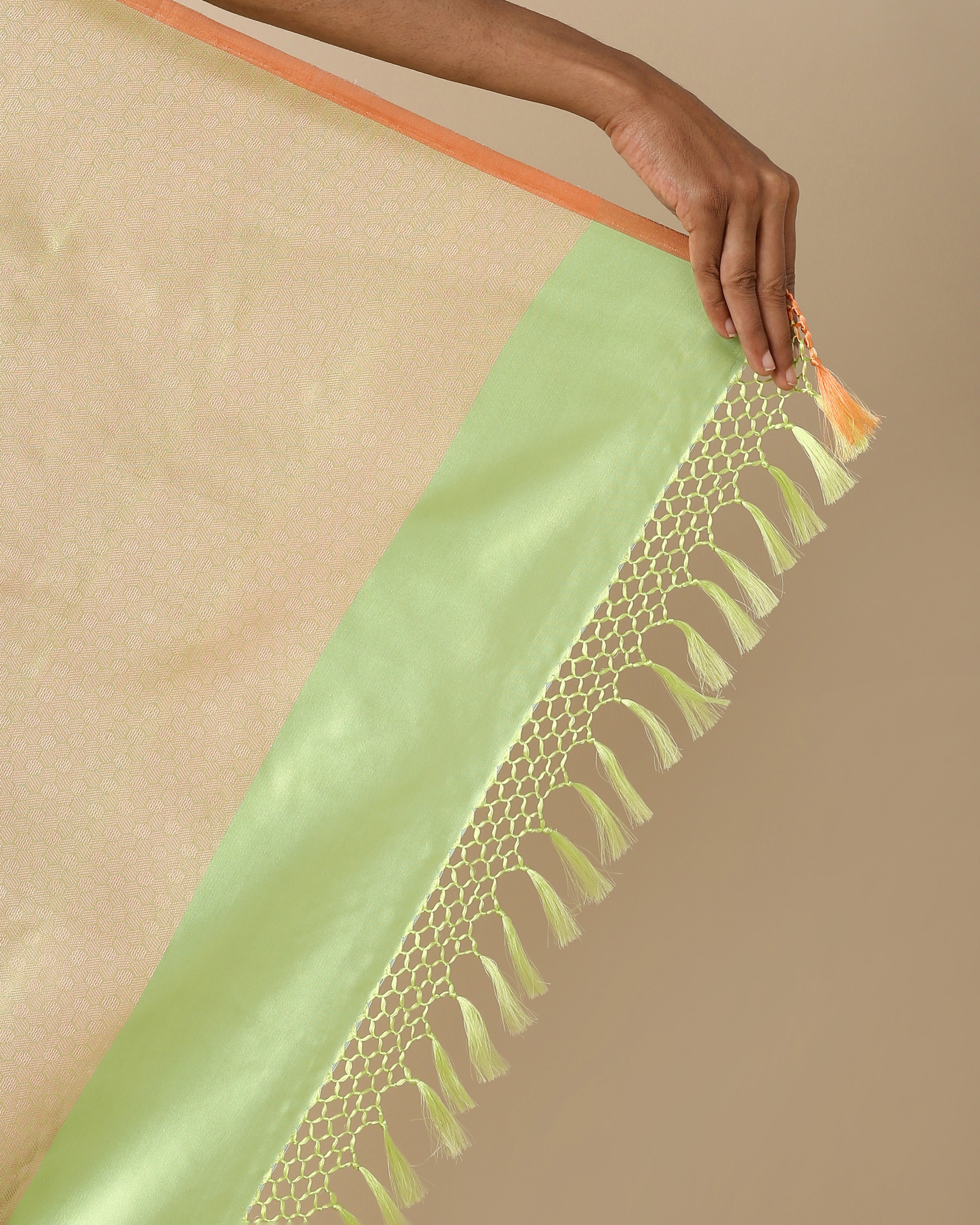 Aroh Banarasi Tanchoi Silk Saree