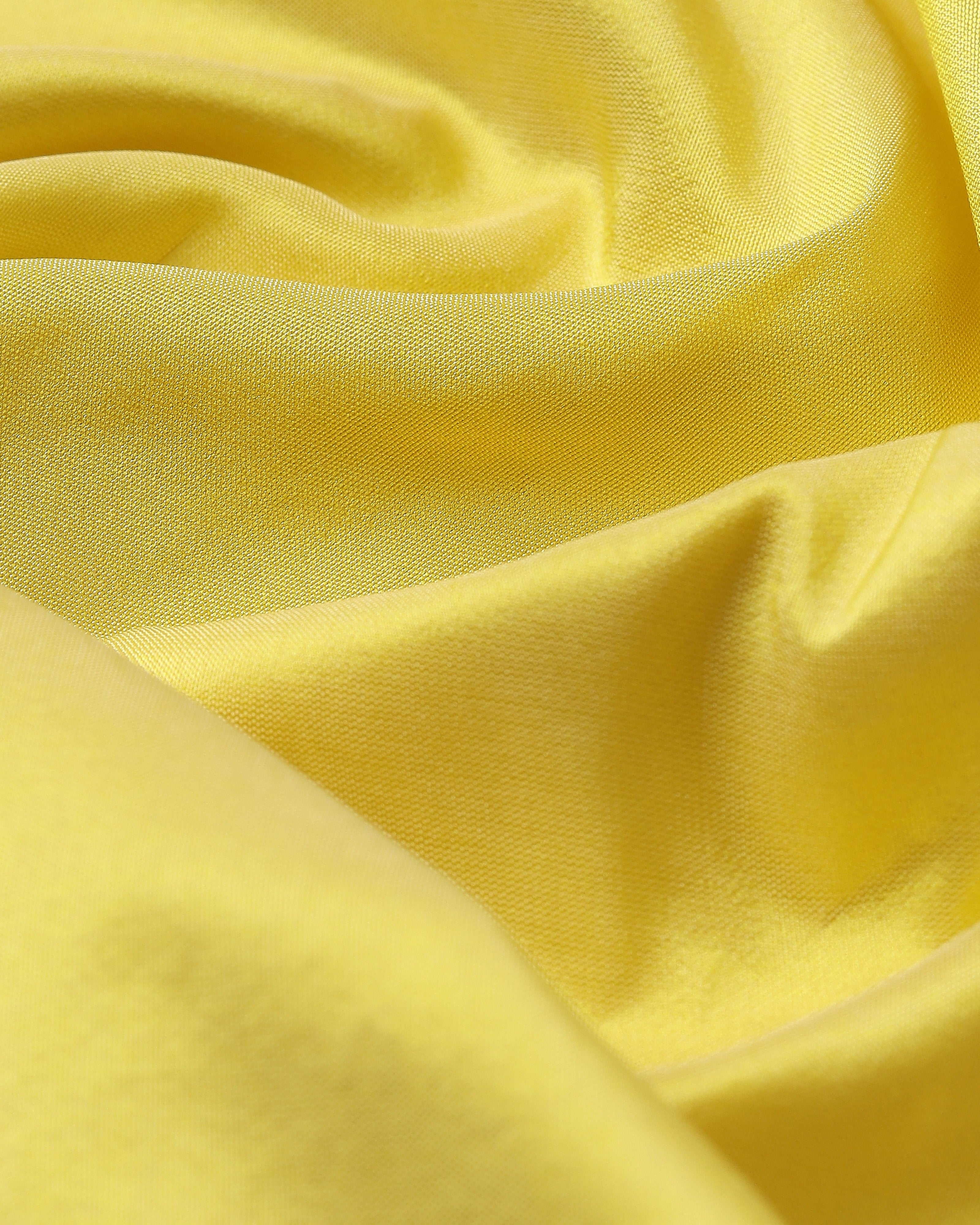 Mabel Banarasi Kadwa Silk Saree
