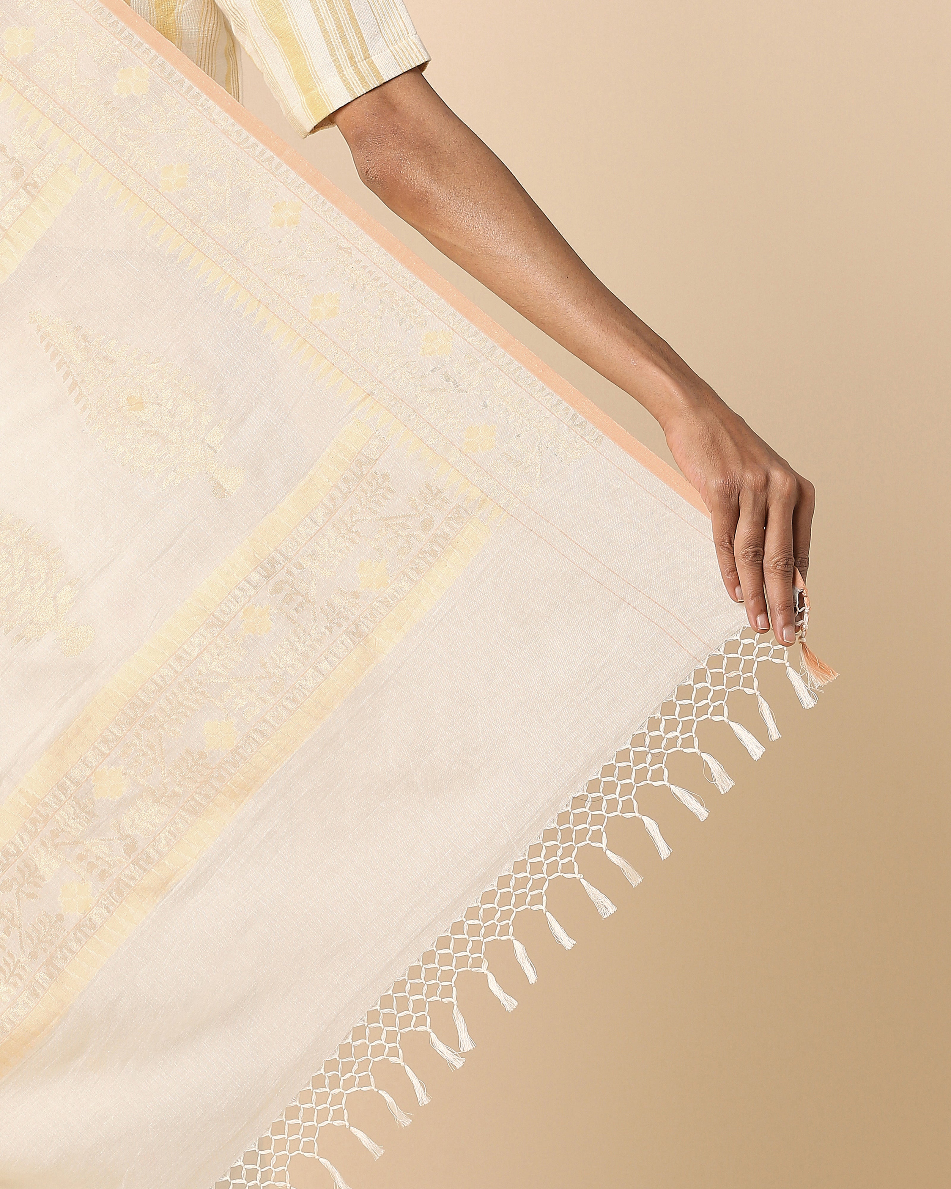 Shreenika Banarasi Kadwa Cotton Saree