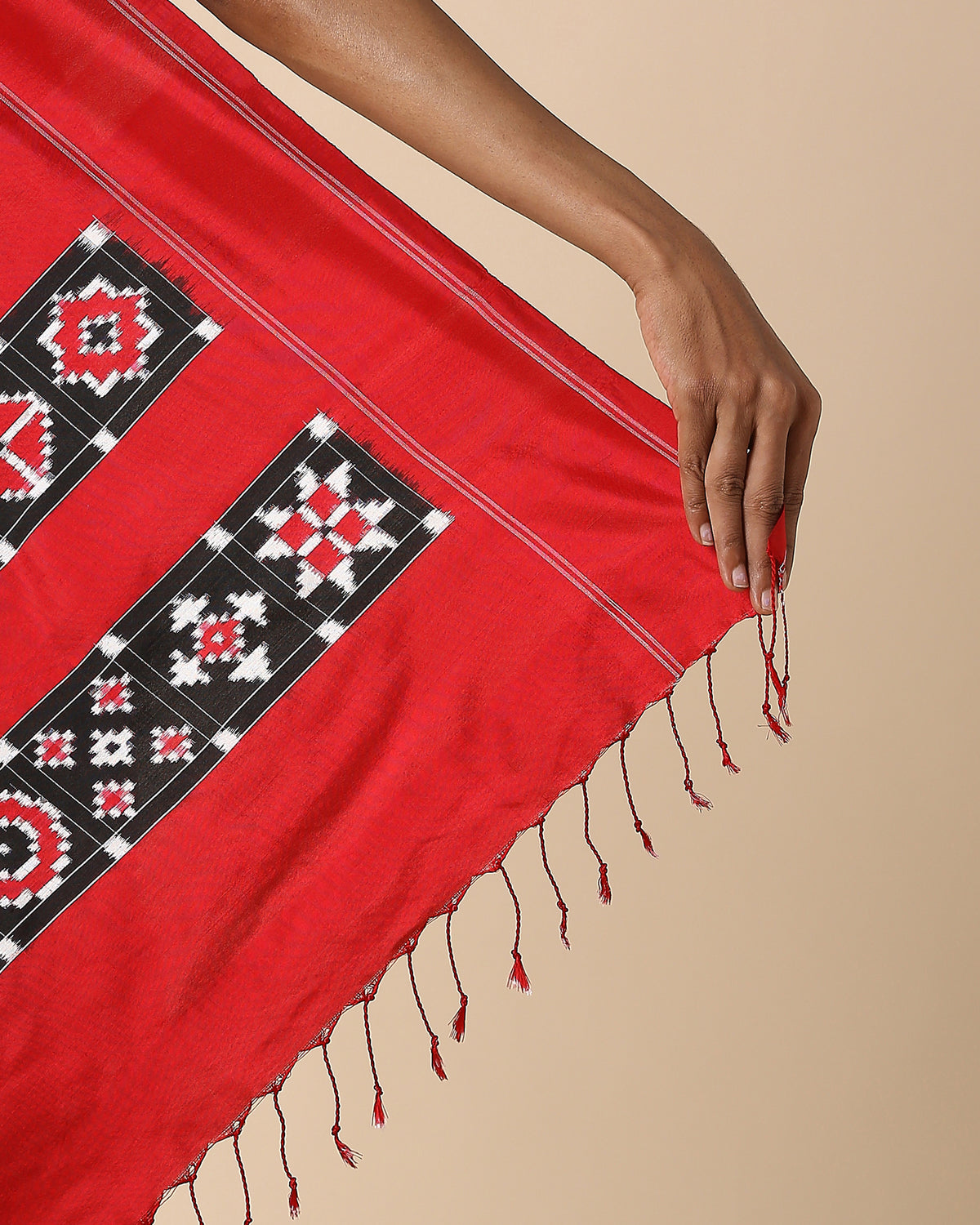Aairah Pochampally Double Ikat Silk Saree